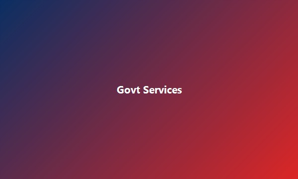 Online Government Services
